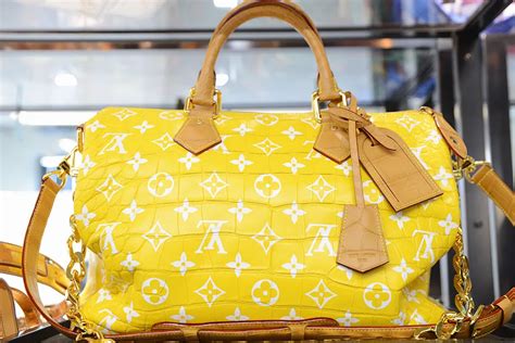 louis vuitton speedy bag outfit|speedy bag louis vuitton price.